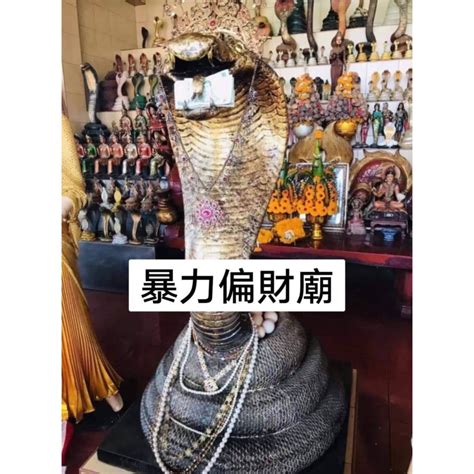 蛇偏財運